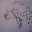 Gepard